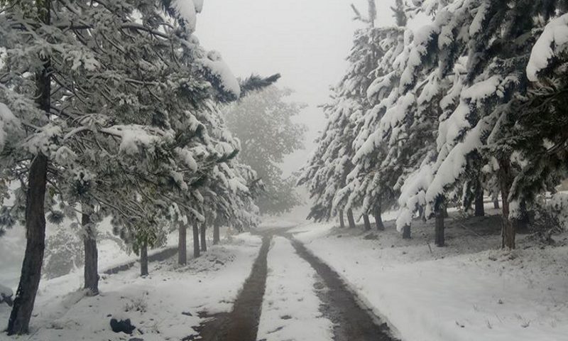 Immagine di neve a Bishkek in Kirghizistan